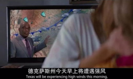 成人精品视频,深度解析内容与价值